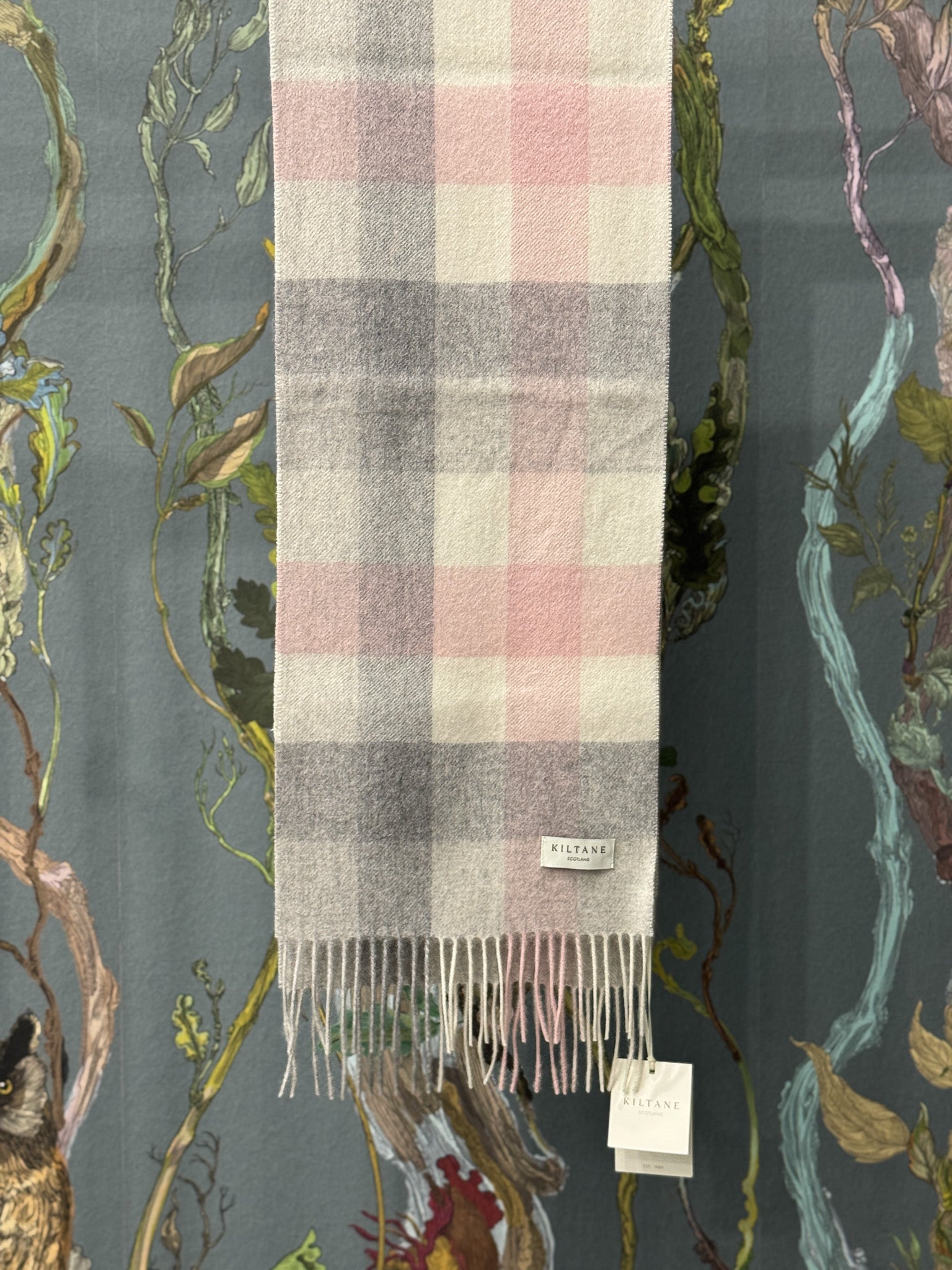 5 Square Check Cashmere Scarf - Cherub
